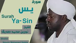 Surah Yasin  Heart Touching  Sheikh Noreen Muhammad Siddique [upl. by Ahsinrats]