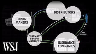 How Drug Prices Work  WSJ [upl. by Ylrebmik]