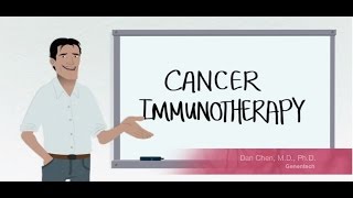 How Does Immunotherapy Work – Bladder Cancer Immunotherapy Animation [upl. by Teemus]