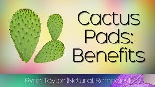 Cactus Leaf Benefits amp Uses Nopales [upl. by Anoli]