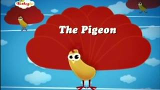 BabyTV The Pigeon english [upl. by Shuping]