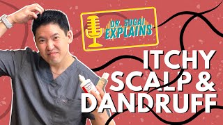 Dr Sugai Explains Itchy Scalp and Dandruff What Shampoos to Consider [upl. by Ynotna372]