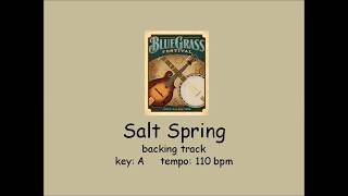 Salt Spring  bluegrass backing track [upl. by Eiznekcam889]