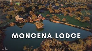 Mongena Lodge [upl. by Nivat550]