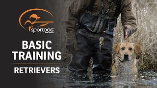 Basic Training  Retrievers [upl. by Jp733]