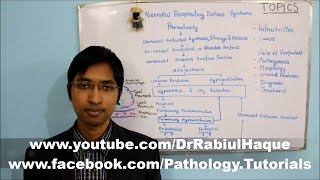 Neonatal Respiratory Distress Syndrome HD [upl. by Tingley]