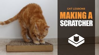 How to Make a Cat Scratcher [upl. by Asital]