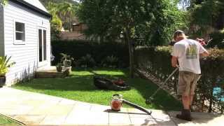 Lawn Mowing Line Trimming Leaf Blowing Pittwater Mowing [upl. by Waugh973]