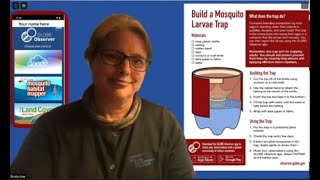 Build a Mosquito Larvae Trap [upl. by Oiceladni262]