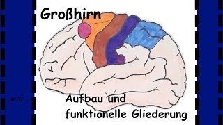 Großhirn  Neuroanatomie verstehen [upl. by Chelsie925]