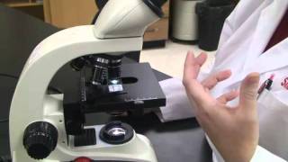 Introduction to the Light Microscope [upl. by Omarr]