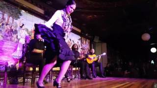 Tablao Flamenco Villa Rosa V CONCURSO DE BAILE FLAMENCO 2016 Semifinales 2a ronda 3r part 1Act [upl. by Shing975]