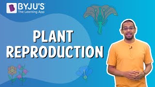 Plant Reproduction  Class 5 I Learn with BYJUS [upl. by Hynda]