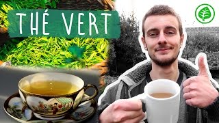 Le THÉ VERT  Boisson Miracle  Bienfaits amp Vertus [upl. by Puduns]