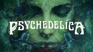 Psychedelics and Consciousness [upl. by Nnylorac696]