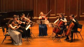 Arnold Schoenberg  Transfigured Night for String Sextet Op 4 [upl. by Esital]