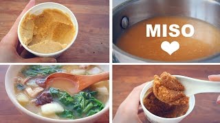 MISO SOUP 101 Benefits Uses Haul  5 Recipes [upl. by Niawd]