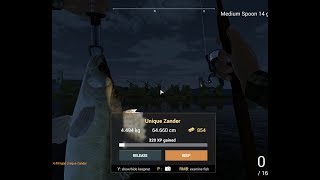 Fishing Planet – How to catch Unique Zander at GhentTherneuzen Canal Netherlands [upl. by Eserrehs]