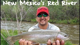 Trout Fishing New Mexicos Red River [upl. by Naujal]