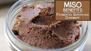 Miso Benefits A Fermented Superfood Condiment [upl. by Varien]