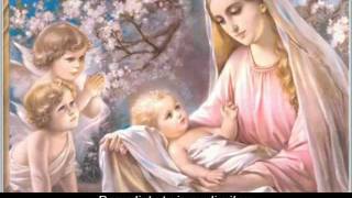 Ave Maria Latin lyrics w English translation [upl. by Aryl]