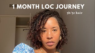 Starter Locs on 3b3c hair  1 month loc journey  comb coil starter locs [upl. by Mairam]