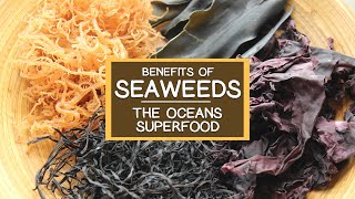 The Nutritional Benefits of Seaweed The Oceans Superfood [upl. by Peh]