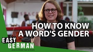 How to know a words gender  Super Easy German 70 [upl. by Slen]