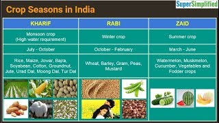 Cropping Seasons In India  Kharif Rabi Zaid [upl. by Eleanor]