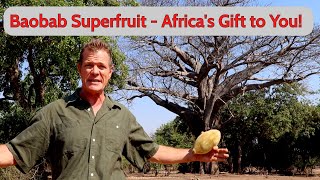 Baobab Superfruit  Africas Gift to You [upl. by Aibsel]