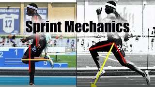 Sprinting Mechanics amp Fundamentals  Feed the Cats [upl. by Fiedling]