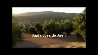 Andaluces de Jaén  Jarcha [upl. by Nata]