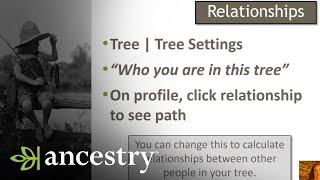 Keeping Track of Where You Are In Your Family Tree  Ancestry [upl. by Neehcas238]