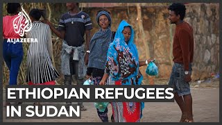 Sudan struggles to shelter influx of Ethiopian refugees [upl. by Leemaj]