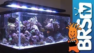 LED Lighting For Aquariums  EP 3 Aquarium Lighting [upl. by Quar]