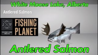 Antlered Salmon  White Moose Lake Alberta  Fishing Planet Guide [upl. by Thirion]