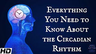 Everything You Need To Know About The Circadian Rythm [upl. by Phip]