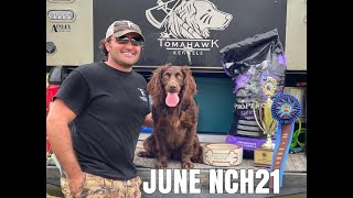 2021 Boykin Spaniel Societys National Retriever Field Trial Novice Champion  June Holland NCH21 [upl. by Tfat278]