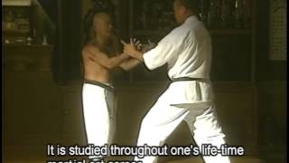 Okinawa Karate Volume1 Part 1 [upl. by Ahsiekram921]