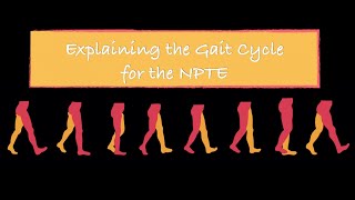 Explaining the Gait Cycle for the NPTE [upl. by Evets]