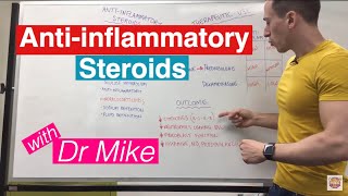 Antiinflammatory Steroids [upl. by Cleodal]