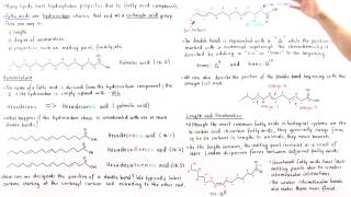 Fatty Acids [upl. by Lowenstern]