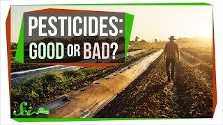 How Safe Are Pesticides Really [upl. by Nomar818]