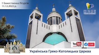 Божественна Літургія онлайн  Патріарший собор УГКЦ  11122022 [upl. by Nyar]