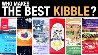 The Pet Food Kibble Review [upl. by Trevah]