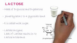 Biochemistry of Oligosaccharides [upl. by Rosabel]