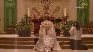 Eucharistic Adoration St Stephen Catholic Church [upl. by Ulrike]