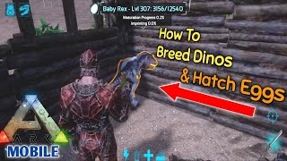 Ark Mobile How To Breed Dinos amp Hatch Eggs [upl. by Yznyl]