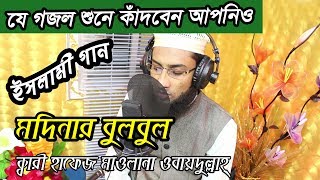 Modinar Bulbul Nobi Rasul Allah  Qari Hafez Maulana Obydullah  Bangla Islamic Song  Bangla Gojol [upl. by Shena677]