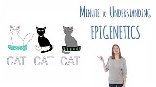 What is epigenetics [upl. by Aiken880]